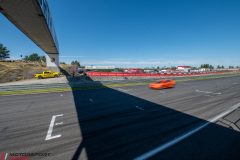 20250711-122249-DSC_3881