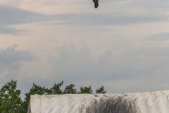 20250712-190852-DSC_6560