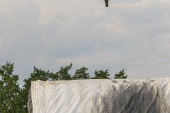 20250712-191030-DSC_6938