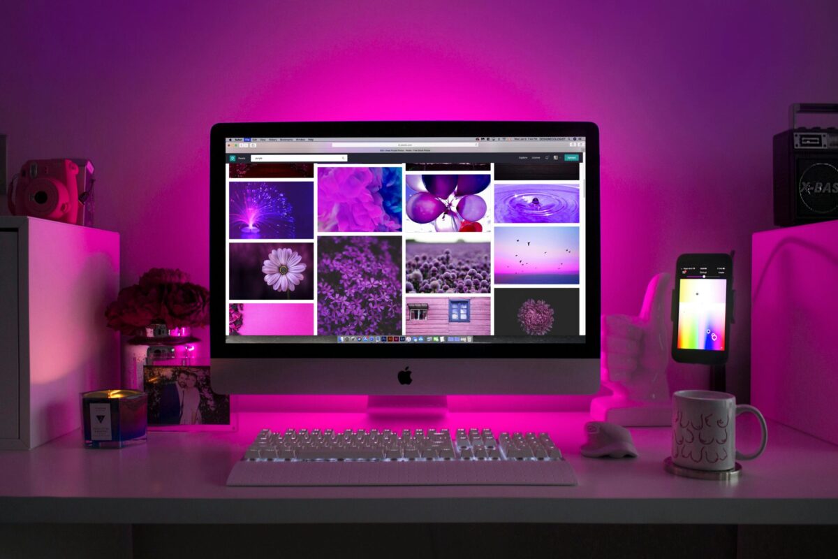 purple-screen-webdesign